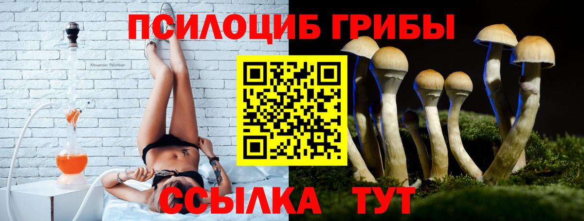 Рославль  Псилоцибиновые грибы Magic Shrooms  Вход с VPN  Галлюциногенные грибы Cubensis 